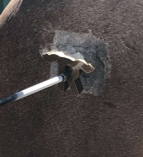 Branding Iron - Draft Cross Horses